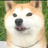 Lillyan Denman - @fluffelpuff2006 - TikTok