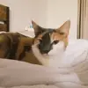 lillian_donald24 - @lillian_donald24 - TikTok