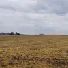 lilliandonald - @lillian.xonald - TikTok