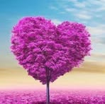 Lilian Douglas - Facebook