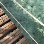 Lillian Dowd - @lilliandowd475 - Instagram