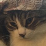 Lillian Downey - @lillybeans022 - Instagram