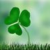 Lillian Driscoll - Facebook