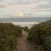 Lilly Driscoll - Facebook