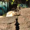 lili - @lili.drury - TikTok