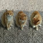 Lillian Dyals - @lilliandyals - Instagram