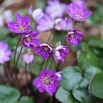 @lilliandyer395zoj - Instagram