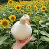 Lillian Early - @lillian.early - TikTok