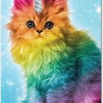 Lillian Eckman - Facebook