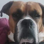 Lillian Ellsworth - @lilliane6945 - Instagram