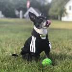 Lillian Emerson - @lillygram16 - Instagram