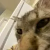 Lilli.Estes - @lillianaestes - TikTok