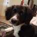Lilly Estes - Facebook