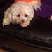 Lilian Estrada - Facebook