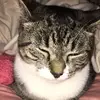 Lily.Eubanks - @lily.eubanks - TikTok