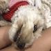 Lillian Farrow - Facebook