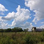 Lillian Fehr - @lillian_fehr78 - Instagram