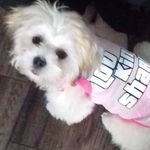 Lillian Forbes - @lillian.forbes.9 - Instagram