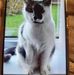 Lilian Franks - Facebook