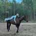 Lillian Franks - Facebook