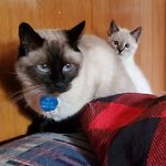 Gavin & Lillian - @gavin_and_lillian - Instagram