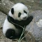 @lilli_ann.goodrich - Instagram