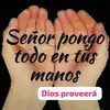 Liliana Graff - @liliana.graff - TikTok