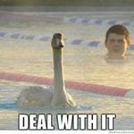 Lillian Hauser - @i_love_swimming2004 - Instagram
