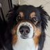 Lillian Holder - Facebook