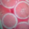 user6705254389339 - @lillianagraceholder - TikTok