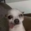lillianhope - @lillianhope - TikTok