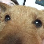 Lillian - @lillian_the_house - Instagram
