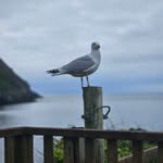 Lillian Goggin - @lillianhurleygoggin - Instagram
