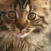 lillianhutton365 - @lillianhutton365 - TikTok