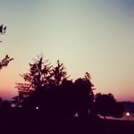 lillian hyde - @your_pan_friend_lillian - Instagram