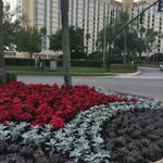 Lillian Jack, REALTOR/REALTIST - @jalrealty - Instagram