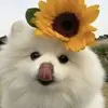 LillianJack - @lilliwwrklf - TikTok