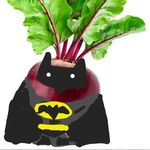 Lillian justice - @beet_man_09 - Instagram