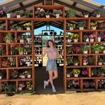 Lillian Lancaster - @lillyloulancaster - Instagram