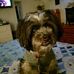 Lillian Leighton - Facebook