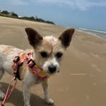@lillian_lowenstein_leighton - Instagram
