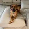 lily - @lillianlusk - TikTok