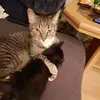 florian - @lillianelutz - TikTok