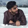 Dire_wolf - @llillian.lyon - TikTok