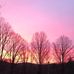 Lillian Lyon - Facebook