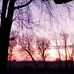 Lilly Mallory - Facebook