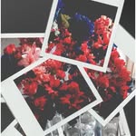 Lillian Marquez - @lillyroyalevents - Instagram