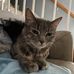 Lillian Maynard - Facebook