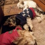Lillian McDaniel - @lillymcdaniel12 - Instagram