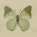 Lillian Mcdowell - Facebook